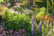 Morgan Stanley Garden