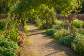 Normanby Hall Walled Garden