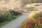 The Old Dipping Pond