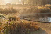 Autumn Morning at Scampston