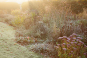 Frosty Autumn Morning