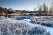 The Old Dipping Pond in Winter