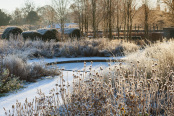 Winter Morning
