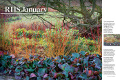 The Garden magazine article