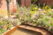 The M&G Garden