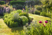 Early Summer Morning