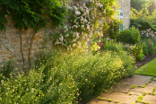 Hall Farm in June