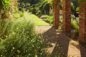 Hall Farm Garden in June