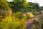 Evening at Hall Farm