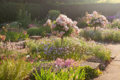 Sylvia's Garden at Newby Hall