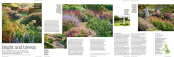 The Garden Feature