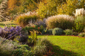 Autumn at Brightwater