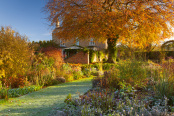 Autumn at Hall Farm