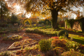 The Sunken Garden in Autumn