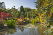 Sandstone Rock Garden