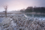 Winter Morning