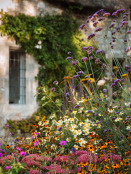 Late Summer Border