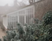 December in the Walled Garden