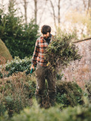 November planting