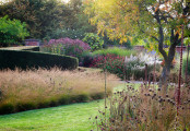 Autumn borders