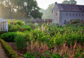 The kitchen garden.