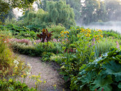 In the bog garden