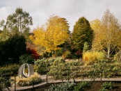 October kitchen garden