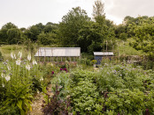 Midsummer evening in the kitchen garden