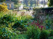 Pollinator Pathways by Daisy Ginsberg