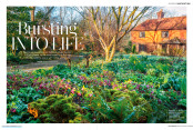 Bursting into Life