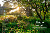 True to Nature
