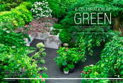 A Celebration of Green
