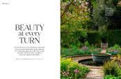 Beauty at Every Turn