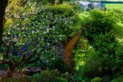 Archway at Greencombe Gardens