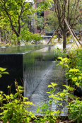 Urban Forest Garden, Jooeun Lee