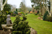 Girl on a bench in a winter garden. John Massey's garden at Ashwood Nursery.