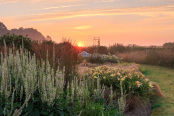 Sunrise at Tyger Barn