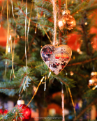 Christmas heart. Branches of Norway spruce (Picea abies) decorated for Christmas.
