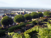 Jardin du Roy, Blois