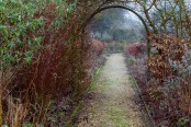 Winter pathway