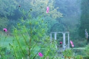 Cosmos and Italian gazebo by a lake