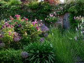 A secret walled garden