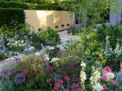 Best in Show Chelsea 2011 'Telegraph Garden, Cleve West"