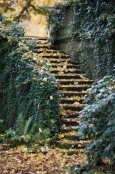 Stairs in the Fall