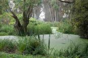 The River Thame running through Waterperry Gardens, Oxfordshire