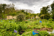 Windmill Hill City Farm