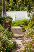 Lawrence Weston Community Farm