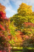 Autumn Splendour