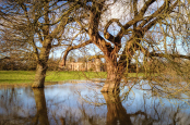 Lacock-on-Sea