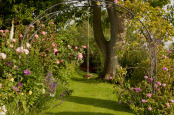 Garden Rope Swing